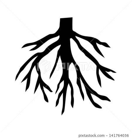 bare tree root system illustration forest bare tree root system illustration forest 141764036