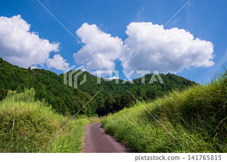 仲夏風景:「鄉村寧靜的夏日風光」(三重縣龜山市) 仲夏風景:「鄉村寧靜的夏日風光」(三重縣龜山市) 141765815