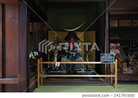 Armor 141765880