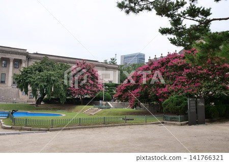 Blooming crape myrtle in front of Western-style palace building in summer Blooming crape myrtle in front of Western-style palace building in summer 141766321