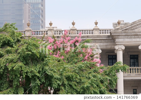 Blooming crape myrtle in front of Western-style palace building in summer Blooming crape myrtle in front of Western-style palace building in summer 141766369