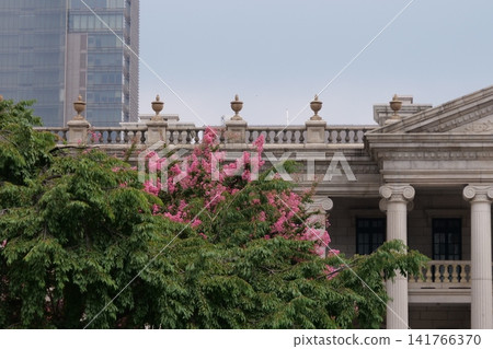 Blooming crape myrtle in front of Western-style palace building in summer Blooming crape myrtle in front of Western-style palace building in summer 141766370