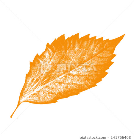 Orange autumn leaf on white background Orange autumn leaf on white background 141766408