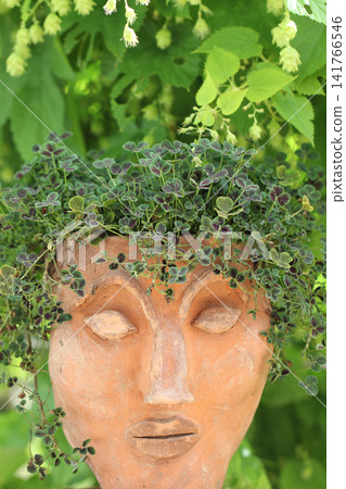 Head Head 141766546