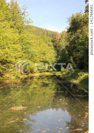 in the Palatinate Forest in the Palatinate Forest 141766661