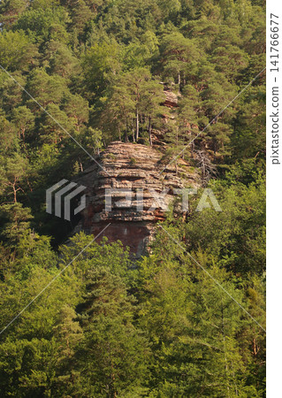 rocks in the forest 141766677