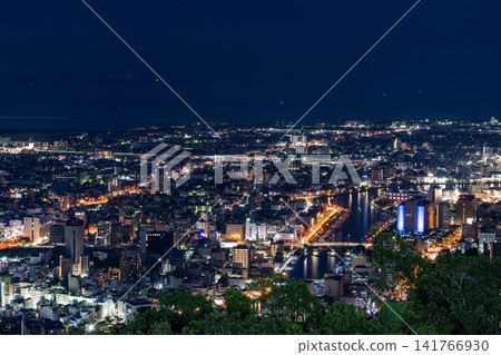 從比贊山頂俯瞰德島市夜景全景 從比贊山頂俯瞰德島市夜景全景 141766930