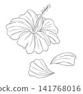 一組西方草本「木槿」的向量線條藝術迷你插圖。 141768016