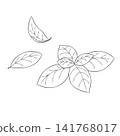 一組西方香草“羅勒”的向量線條藝術迷你插圖。 141768017