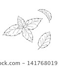 一組西方草藥“薄荷”的向量線條藝術迷你插圖。 141768019