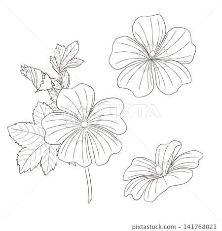 一組西方草藥“藍錦葵”的向量線條藝術迷你插圖。 141768021