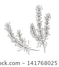 一組西方草藥“迷迭香”的向量線條藝術迷你插圖。 141768025