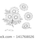 一組西方草藥“洋甘菊”的向量線條藝術迷你插圖。 141768026