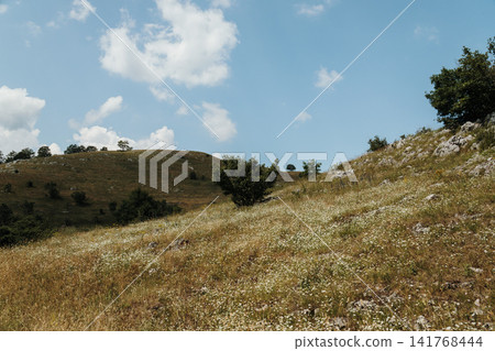 A peaceful meadow covered with wildflowers stretches across rolling hills in the mountains of Montenegro. The open landscape captures the beauty of the Balkan countryside in summer A peaceful meadow covered with wildflowers stretches across rolling hills in the mountains of Montenegro. The open landscape captures the beauty of the Balkan countryside in summer 141768444