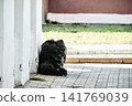 Black garbage bag under an outdoor arcade.Urban waste disposal, litter management, sanitation, and environmental pollution concept 141769039