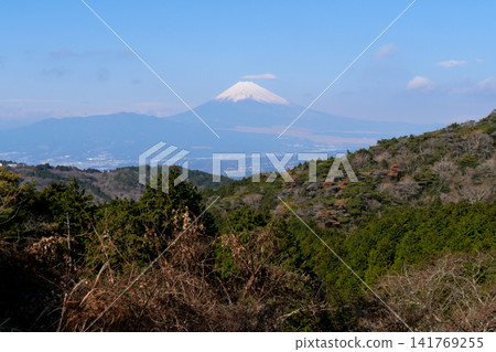 從靜岡縣伊豆半島的頡山峠附近眺望伊豆半島的天際線。 141769255