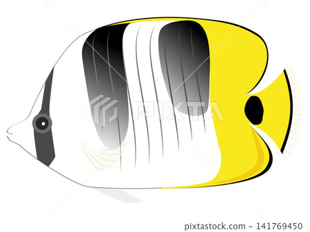 一幅可愛的卡通風格蝴蝶魚插圖。 一幅可愛的卡通風格蝴蝶魚插圖。 141769450