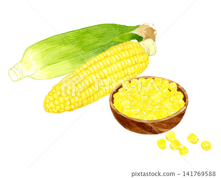 A set of corn and cobcorn served in a salad bowl - hand-drawn watercolor illustration material A set of corn and cobcorn served in a salad bowl - hand-drawn watercolor illustration material 141769588