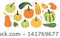 Pumpkin and squash collection  141769677