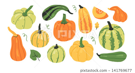 Pumpkin and squash collection Pumpkin and squash collection 141769677