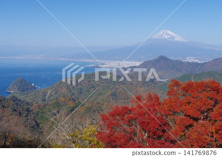 從伊豆桂木山眺望富士山的秋景 從伊豆桂木山眺望富士山的秋景 141769876