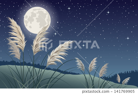 秋夜星空，一輪滿月高懸，閃耀的蒲葦草映襯著夜色 | 滿月，月亮，夜空，蒲葦草，秋天，星星，農曆十五，自然 141769905