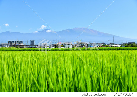 View of the area around Sakudaira Station towards Mount Asama (Saku City, Nagano Prefecture) [August 2026] 141770194