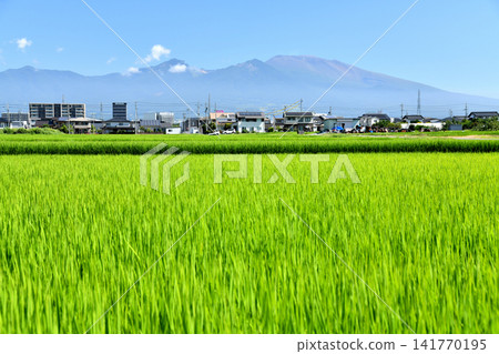 View of the area around Sakudaira Station towards Mount Asama (Saku City, Nagano Prefecture) [August 2026] 141770195