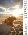 Together with a Toy Poodle 141770750