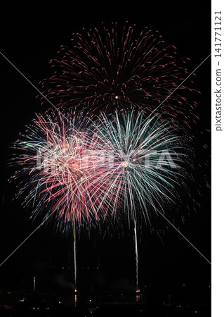 Fireworks blooming in the night sky Fireworks blooming in the night sky 141771121