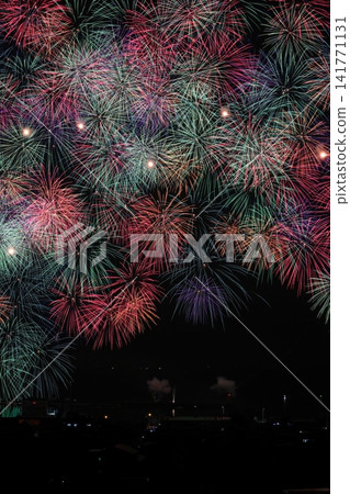 Colorful chrysanthemums blooming in the night sky Colorful chrysanthemums blooming in the night sky 141771131