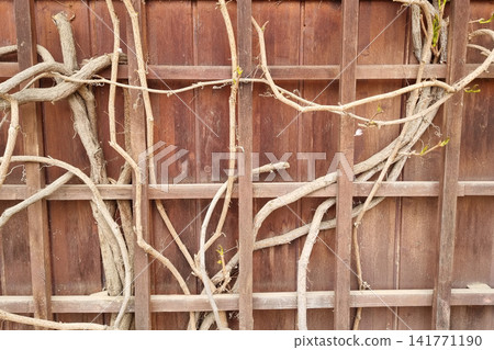Natural Wooden Lattice with Entwined Vines Creating Organic Patterns Natural Wooden Lattice with Entwined Vines Creating Organic Patterns 141771190