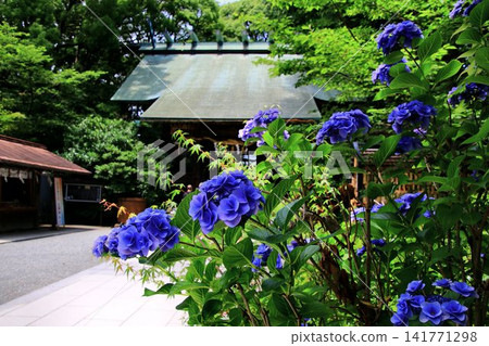 位於他的出生地小田原的穗德二宮神社供奉著二宮尊德。 位於他的出生地小田原的穗德二宮神社供奉著二宮尊德。 141771298