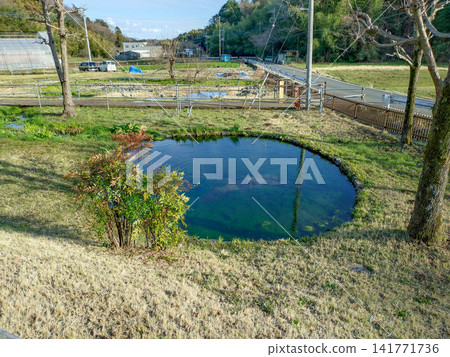 A spring at the source of the Tsurumi River and a lush, natural rural landscape in Machida City, Tokyo. A spring at the source of the Tsurumi River and a lush, natural rural landscape in Machida City, Tokyo. 141771736