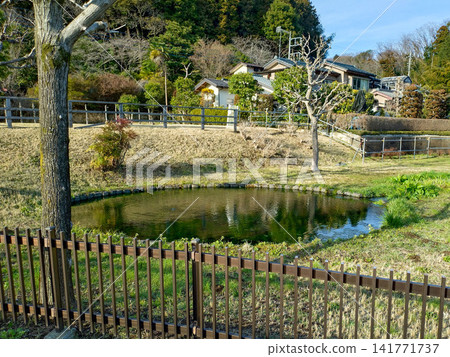 A spring-fed pond at the source of the Tsurumi River and a lush, natural rural landscape in Machida City, Tokyo. A spring-fed pond at the source of the Tsurumi River and a lush, natural rural landscape in Machida City, Tokyo. 141771737
