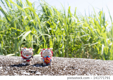 Sugarcane and Shisa (Okinawan guardian lion statues) Sugarcane and Shisa (Okinawan guardian lion statues) 141771791