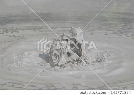 Art of the Earth - Beppu Bozu Jigoku 141771854