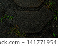 Background image of wet paving bricks with some grass growing between them. 141771954