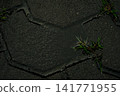 Background image featuring the lines of paved walkway bricks with sparse grass growing between them. 141771955