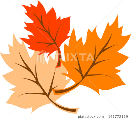 Orange autumn maple leaves set layout template for seasonal fall sale thanksgiving celebration nature greeting card poster banner design Orange autumn maple leaves set layout template for seasonal fall sale thanksgiving celebration nature greeting card poster banner design 141772119