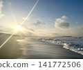 The coast shining in the morning sun 141772506
