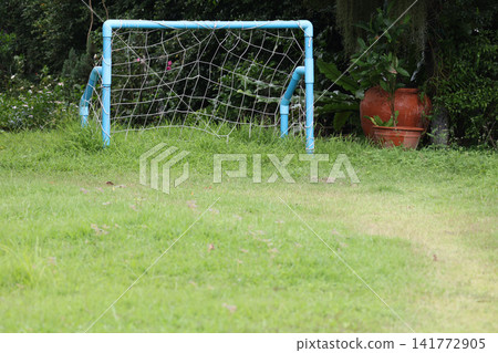 Small Blue Soccer Goal Net on Green Grass Lawn in Backyard Garden Small Blue Soccer Goal Net on Green Grass Lawn in Backyard Garden 141772905