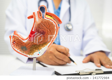 Stomach disease, doctor with anatomy model for study diagnosis and treatment in hospital. Stomach disease, doctor with anatomy model for study diagnosis and treatment in hospital. 141772984