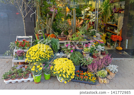Autumn Plants Florist Shop Autumn Plants Florist Shop 141772985