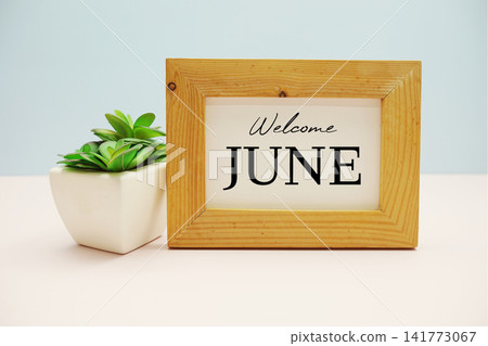 wooden frame with text "WELCOME JUNE" and small artificial plant wooden frame with text "WELCOME JUNE" and small artificial plant 141773067
