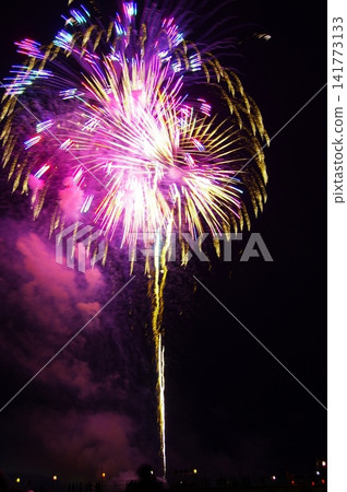 Nagaoka Fireworks Festival Nagaoka Fireworks Festival 141773133