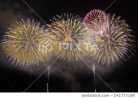 Nagaoka Fireworks Festival Nagaoka Fireworks Festival 141773189