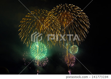 長岡煙火節 長岡煙火節 141773194