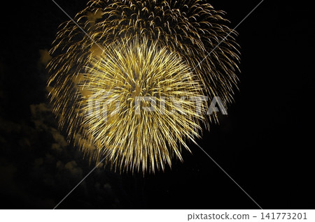 長岡煙火節 長岡煙火節 141773201