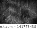 Black soft wool pattern texture abstract dark fluffy fur background structure backdrop 141773438